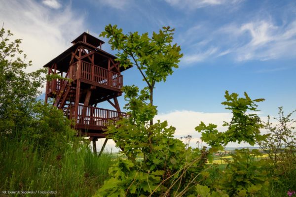 Wzgórza Dobrzenieckie – wieża widokowa na Kawiej Górze