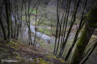 003-Potok Czyżynka widziany spod ruin