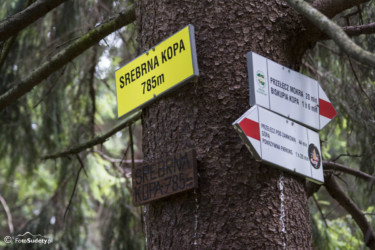 025-Na Srebrnej Kopie