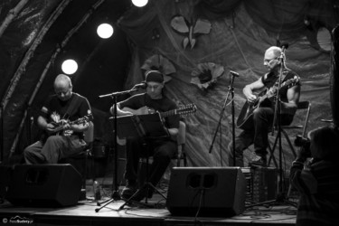 082 Polana 2015 dzień 2