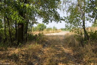 017 Tutaj szlak skręca na drogę asfaltową