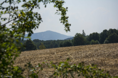 019 Biskupia Kopa ze szlaku w kierunku Gierałcic