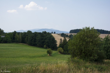 021 Rychlebské hory - widok z okolic Gierałcic