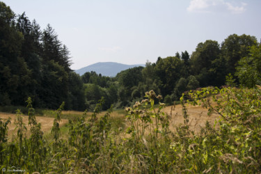 029 widok ze szlaku przed Sławniowicami