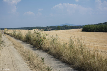 043 widok na Biskupią Kopę z drogi do Jarnołtowa