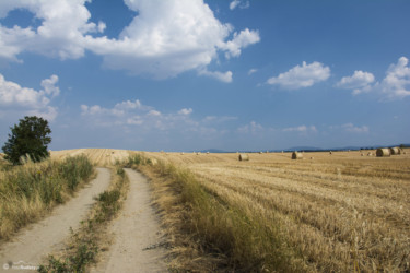 047 Widok w kierunku Biskupiej Kopy od strony Łąki