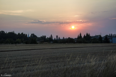 065 przed zachodem słońca nad Trzeboszowicami