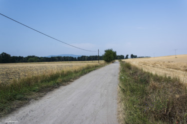 066 polna droga Trzeboszowice - Ujeździec