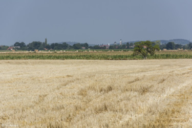 073 widok na Paczków z drogi do Lisich Kątów