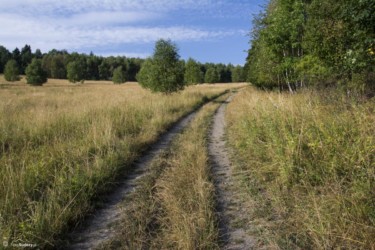 061 w drodze do Kątów Bystrzyckich