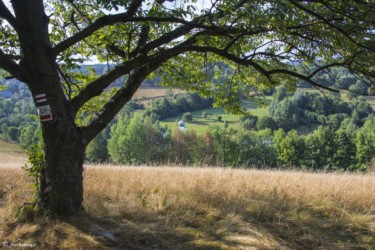 064 widok na wieżękościoła w Kątach Bystrzyckich