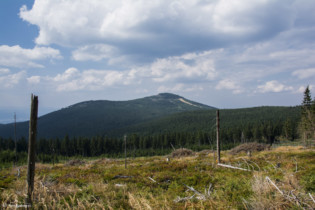 099 Widok ze Żmijowca na Czarną Górę