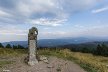 119 Słonik - czeski symbol Śnieżnika