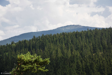 145 Widok z Iglicznej na Czarną Górę