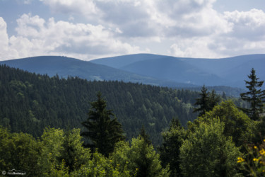 146 Widok z Iglicznej w kierunku Śnieżnika