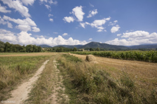 157 Igliczna - widok ze szlaku do Wilkanowa