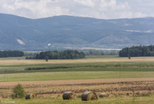 163 Widok na kościół w Nowej Wsi