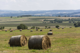 164 Pola pod Długopolem-Zdrój