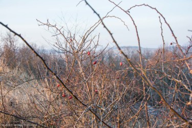 Kawia Góra-058
