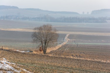 Kawia Góra-069